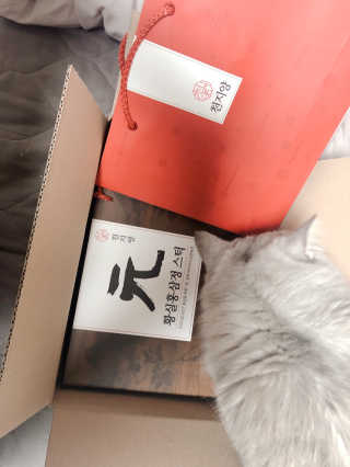 mushroombyjj님이 올린 리뷰 사진 1