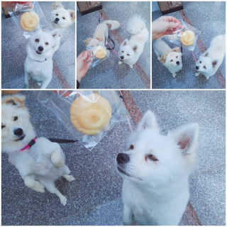 쪼꼬밍💖님이 올린 리뷰 사진 3