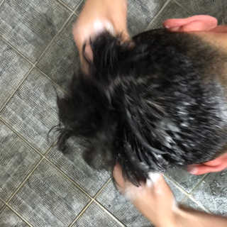 코에나샴푸 자연유래 식물성 코에나 샴푸 50ml — 4.5점을 준 리뷰어가 2020년 4월 올린 사용 사진