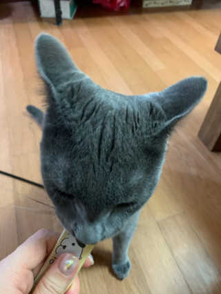 유자몬님이 올린 리뷰 사진 3