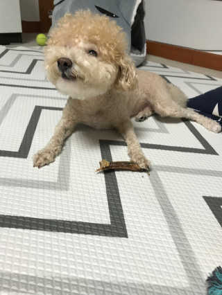 모모맘님이 올린 리뷰 사진 2