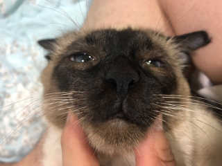 Chris님이 올린 리뷰 사진 1