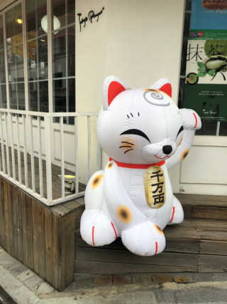 정다은님이 올린 리뷰 사진 1