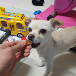 EricOh님이 올린 리뷰 사진 2