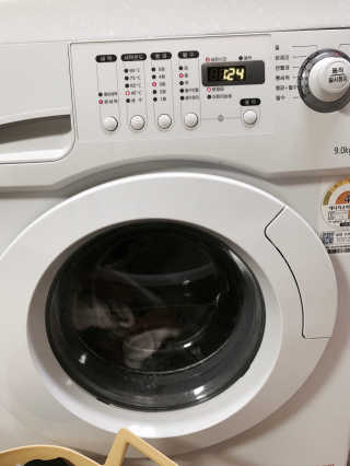 화진쮸님이 올린 리뷰 사진 1