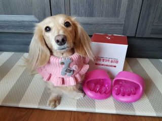 5_daks님이 올린 리뷰 사진 1