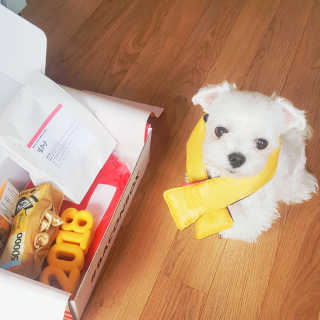 쪄닝님이 올린 리뷰 사진 1