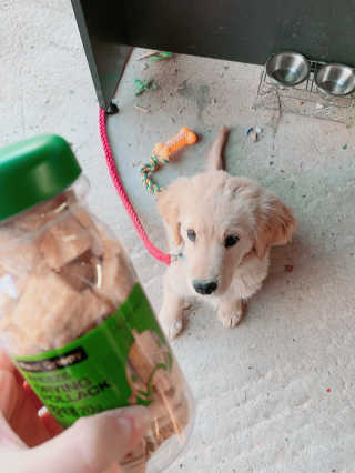 큐티윤님이 올린 리뷰 사진 3