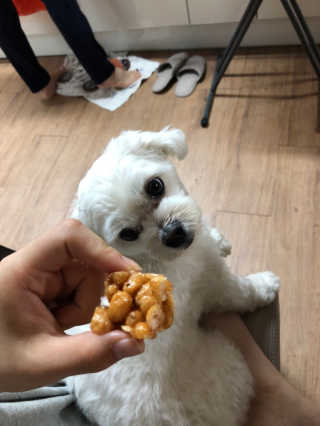 BoyeongSim님이 올린 리뷰 사진 4