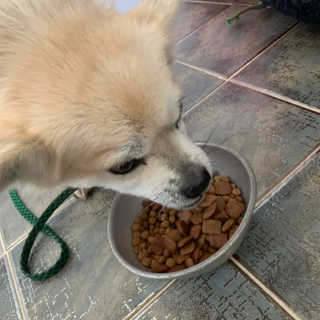정다녕님이 올린 리뷰 사진 4
