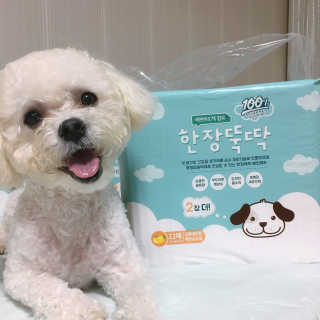 설량님이 올린 리뷰 사진 2