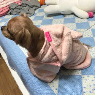 오현주님이 올린 리뷰 사진 3
