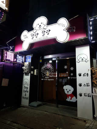 박연초님이 올린 리뷰 사진 1
