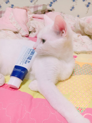 앵두님이 올린 리뷰 사진 2