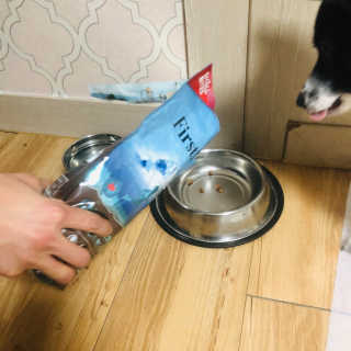 [펫토리아] 퍼스트메이트 강아지 사료 — 5점을 준 리뷰어가 2019년 2월 올린 사용 사진