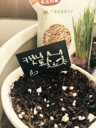 박민희님이 올린 리뷰 사진 1