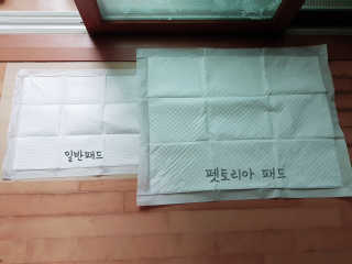 펫토리아 한장뚝딱 NEW 프리미엄 국내산 배변패드 — 5점을 준 리뷰어가 2019년 5월 올린 사용 사진