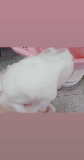 장진영님이 올린 리뷰 사진 4