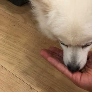 은바뜨님이 올린 리뷰 사진 2