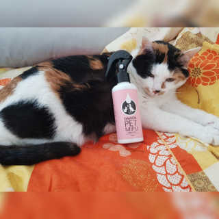코코민네님이 올린 리뷰 사진 2