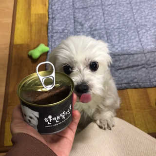 [펫토리아] BEST 한캔뚝딱 강아지 캔간식 — 5점을 준 리뷰어가 2019년 3월 올린 사용 사진