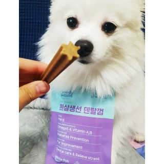 푸디웜 주식회사 [푸디웜] 강아지 저알러지 수제간식 3종세트 — 5점을 준 리뷰어가 2018년 11월 올린 사용 사진