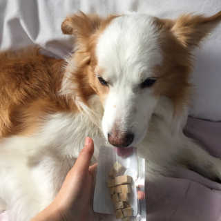 떡볶이죠아님이 올린 리뷰 사진 3