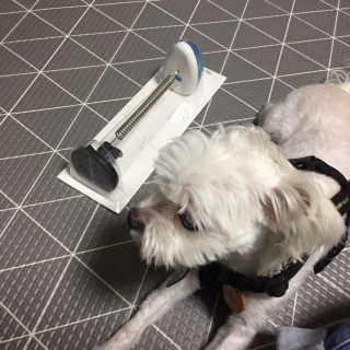당근님이 올린 리뷰 사진 2