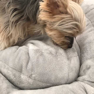 김라솔님이 올린 리뷰 사진 3