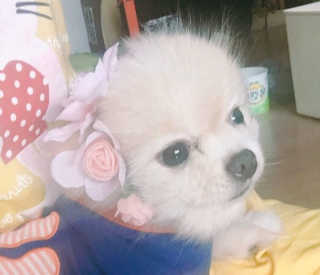🌸다혜님이 올린 리뷰 사진 3