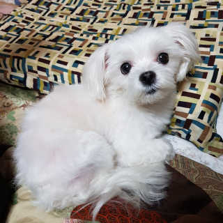 이수진님이 올린 리뷰 사진 3