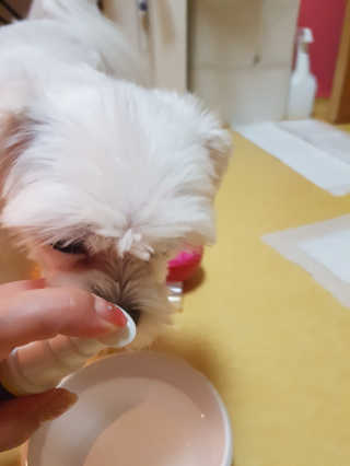 뽀오오옹님이 올린 리뷰 사진 3
