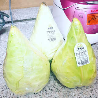[프레베] 꼬깔양배추 3통 1.8kg 이상 — 5점을 준 리뷰어가 2018년 12월 올린 사용 사진
