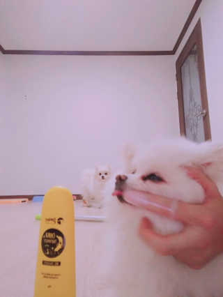 하은맘님이 올린 리뷰 사진 1