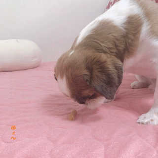 수빈님이 올린 리뷰 사진 4