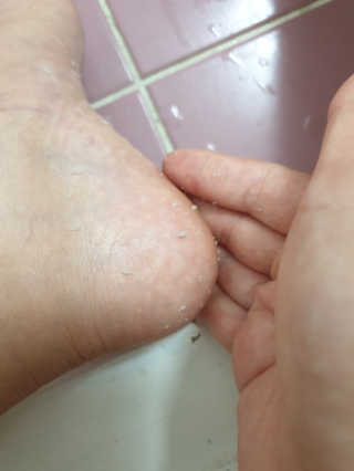 삐랭이님이 올린 리뷰 사진 4