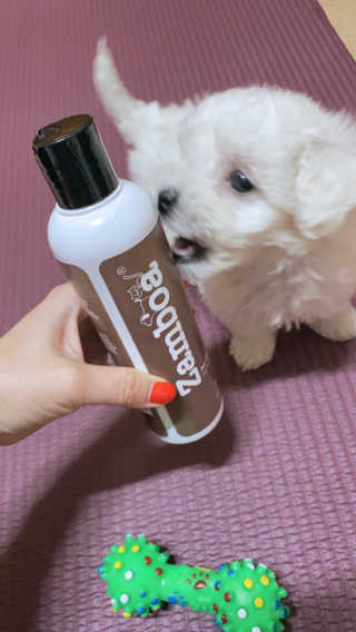 JENNY님이 올린 리뷰 사진 3