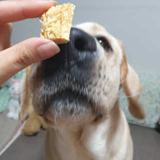 리아님이 올린 리뷰 사진 1