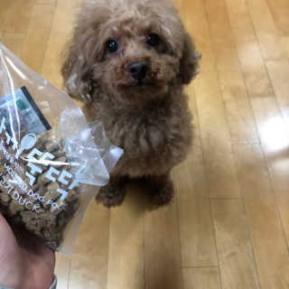 ReginaKwak님이 올린 리뷰 사진 1