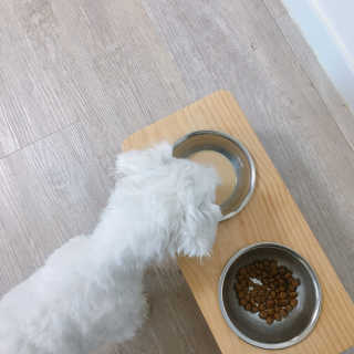 마카롱님이 올린 리뷰 사진 4