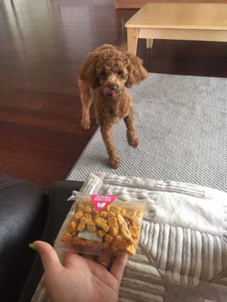 xion님이 올린 리뷰 사진 3