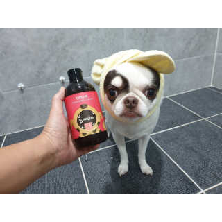 mini unni님이 올린 리뷰 사진 1