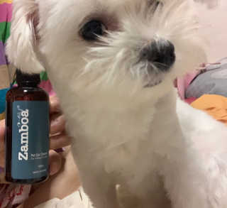 새초미님이 올린 리뷰 사진 1