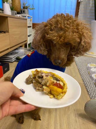 짱아둥이님이 올린 리뷰 사진 1