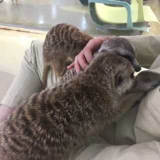 왓다동방러님이 올린 리뷰 사진 4