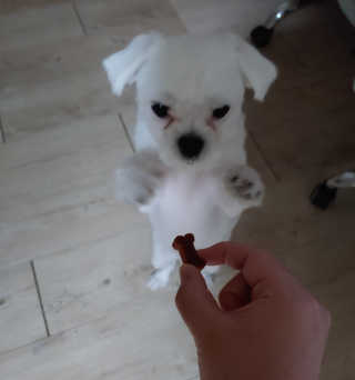 보따리님이 올린 리뷰 사진 4
