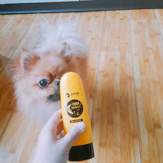 유한솔님이 올린 리뷰 사진 2