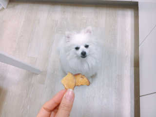 루이님이 올린 리뷰 사진 4