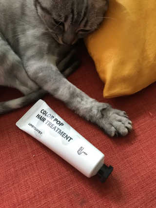 동몽이님이 올린 리뷰 사진 2