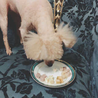 poco님이 올린 리뷰 사진 3